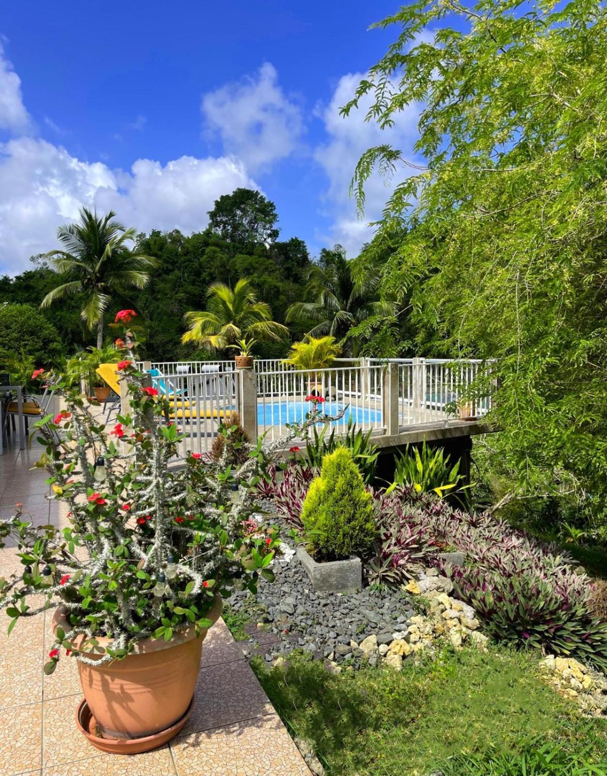 לז אבים La Villa Ixora, Magnifique Villa Avec Piscine מראה חיצוני תמונה